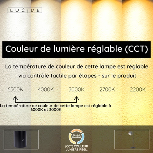 Lucide SKANSKA RECH - Lampe de bureau Rechargeable Intérieur/Extérieur - Batterie/Piles - LED Dim. - CCT - 1x3W 3000K/6000K - IP44 - Fer gris - USP